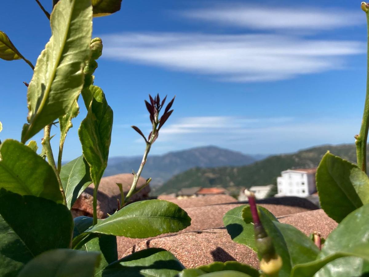 Canduleri Orgosolo Exterior foto